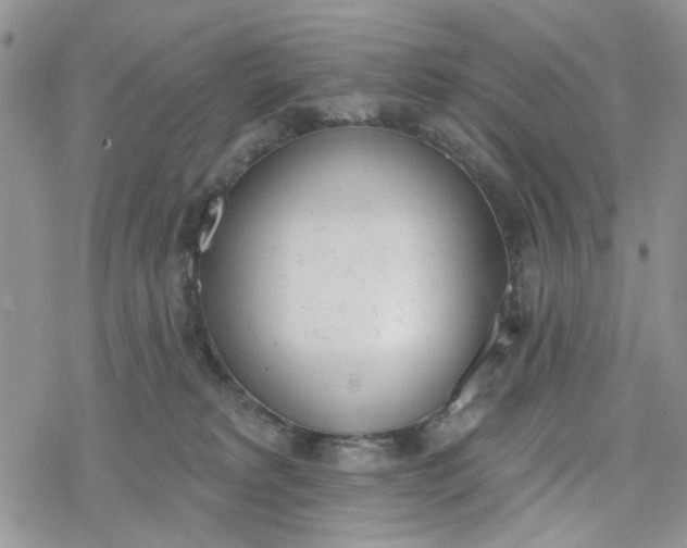 X0000078230229200611171441