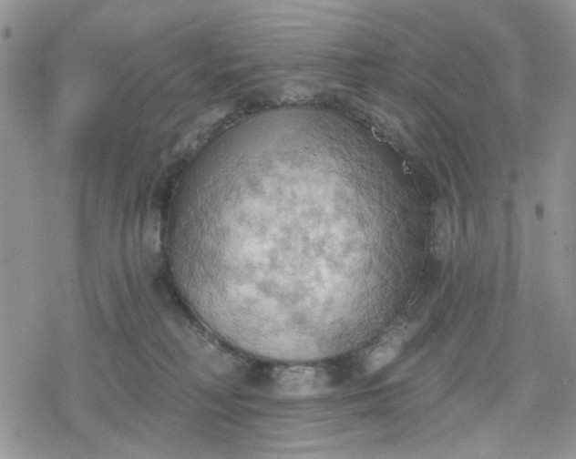 X0000078230230200611171441