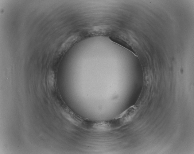 X0000078230231200611171441