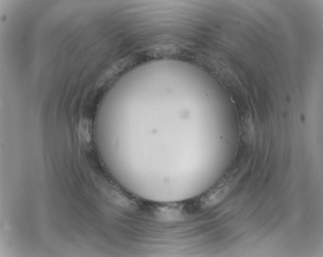 X0000078230232200611171441