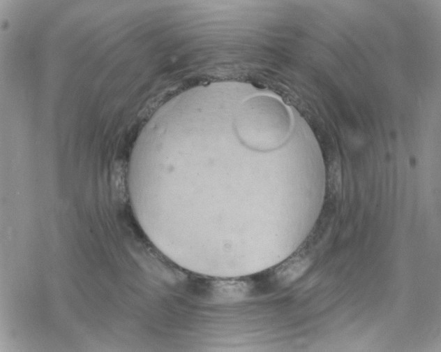 X0000078230234200611171441