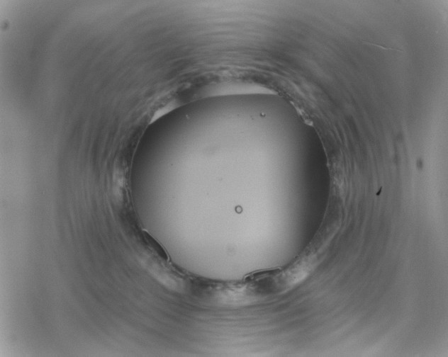 X0000078230235200611171441