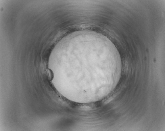 X0000078230236200611171441