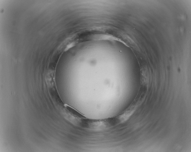 X0000078230237200611171441