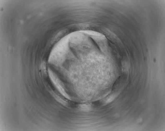 X0000078230238200611171441