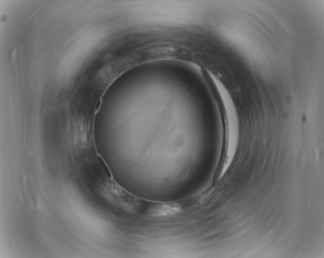 X0000078230239200611171441