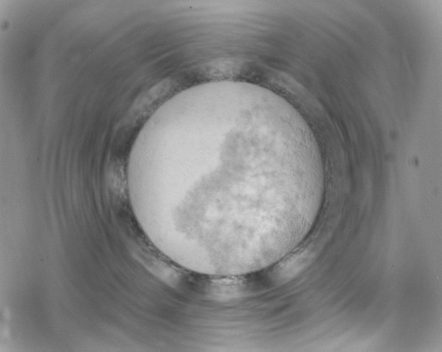 X0000078230240200611171441