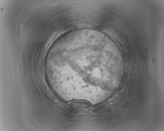 X0000078230241200611171440