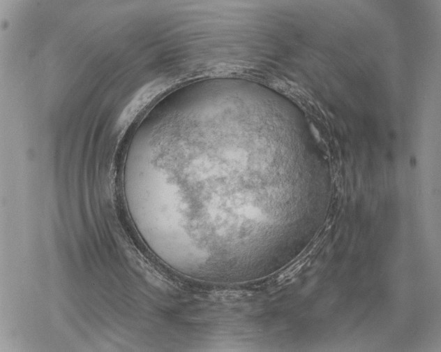 X0000078230242200611171440