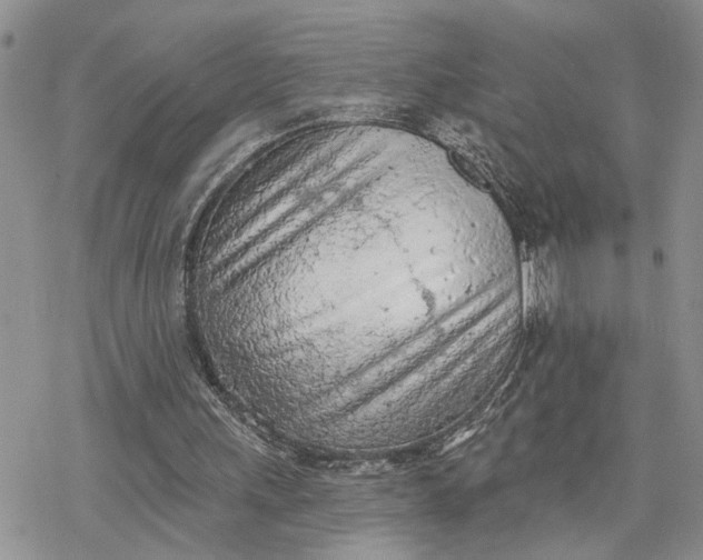 X0000078230243200611171440