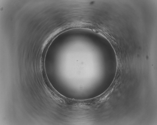 X0000078230244200611171440