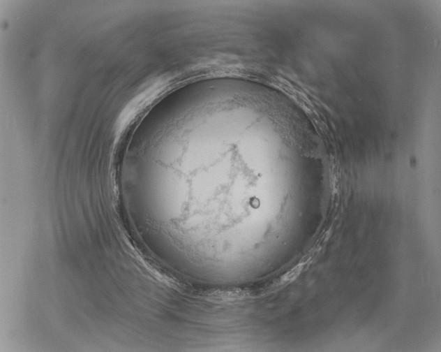 X0000078230245200611171441