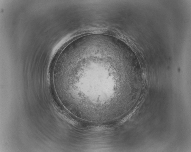 X0000078230246200611171441