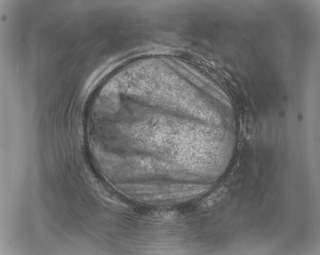 X0000078230247200611171441