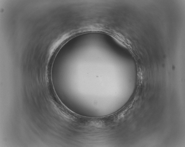 X0000078230248200611171441