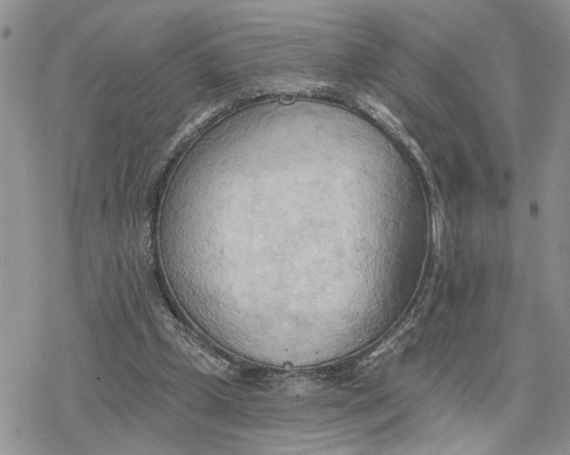 X0000078230249200611171441