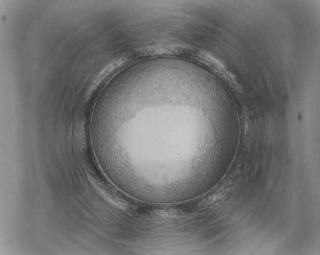 X0000078230250200611171441