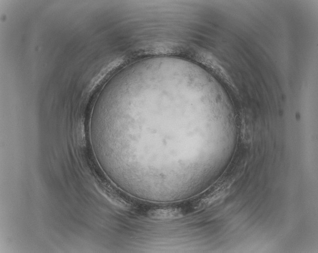 X0000078230251200611171441