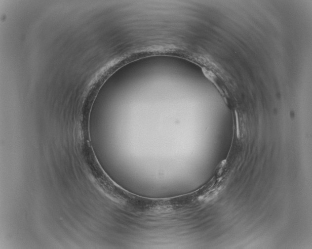 X0000078230252200611171441