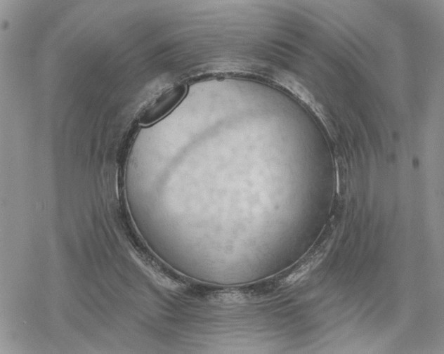 X0000078230253200611171441