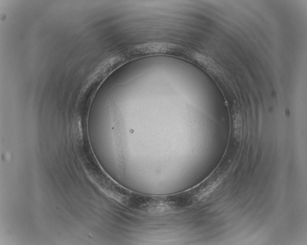 X0000078230254200611171441