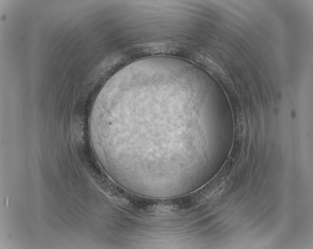 X0000078230255200611171441