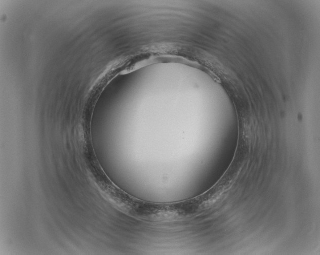 X0000078230256200611171441