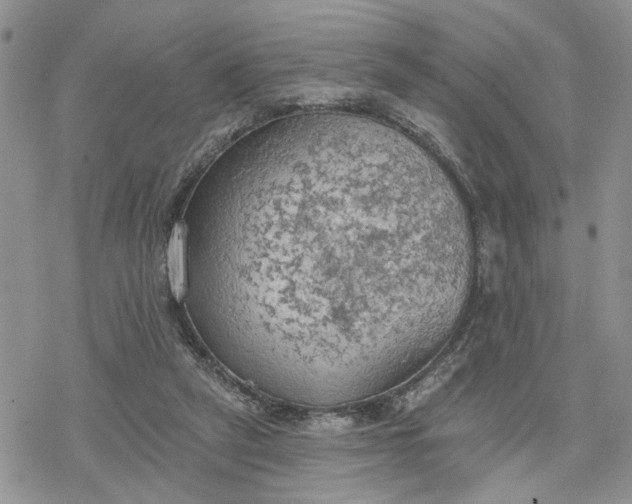 X0000078230257200611171441