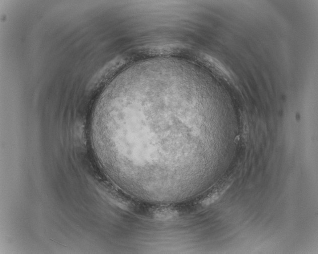 X0000078230258200611171441