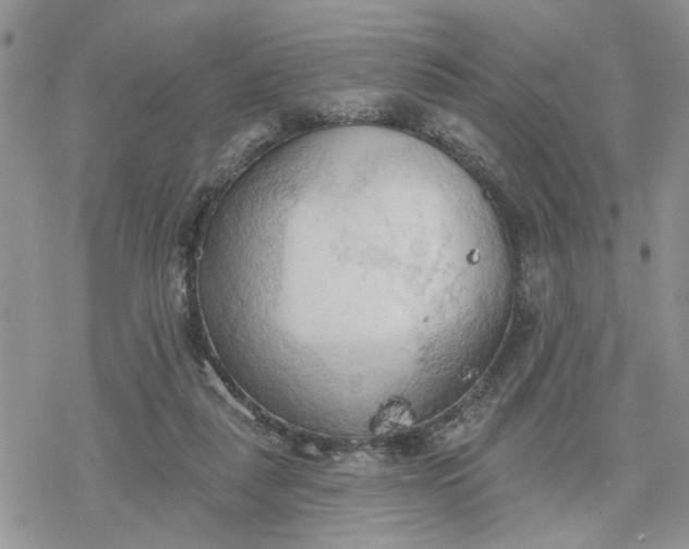 X0000078230259200611171441