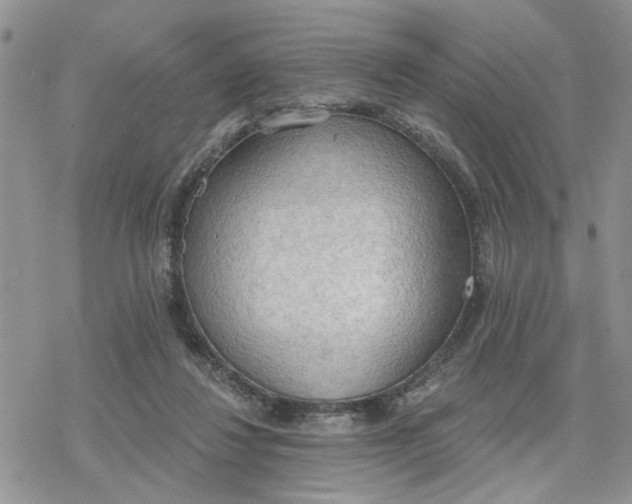 X0000078230260200611171441