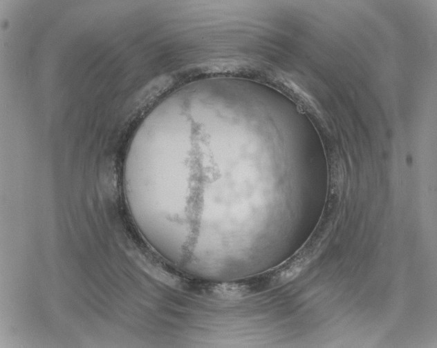 X0000078230261200611171441