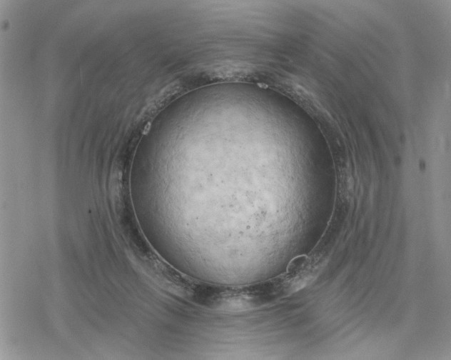 X0000078230263200611171441