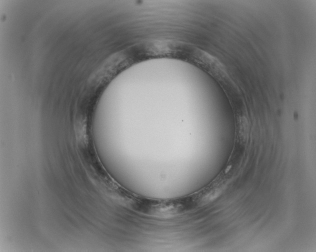 X0000078230267200611171441