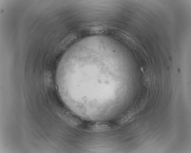 X0000078230270200611171441