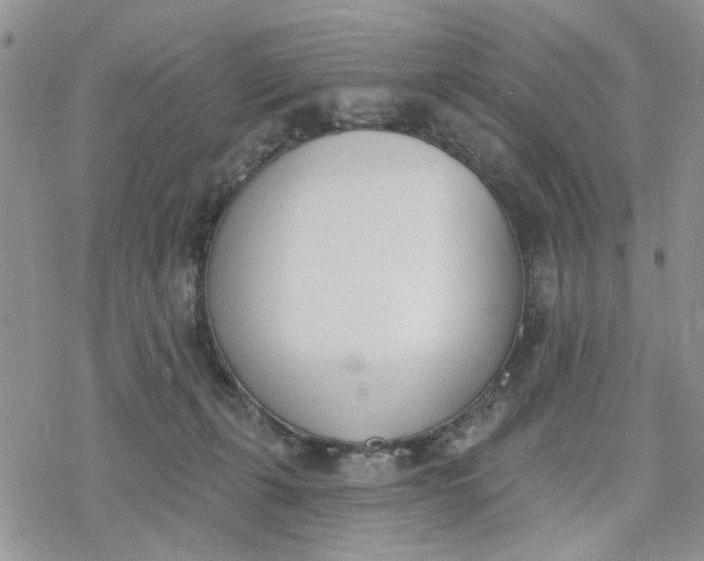 X0000078230271200611171441