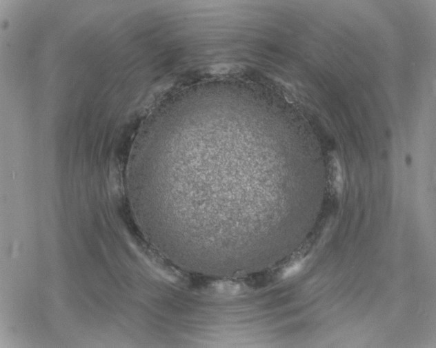 X0000078230272200611171441