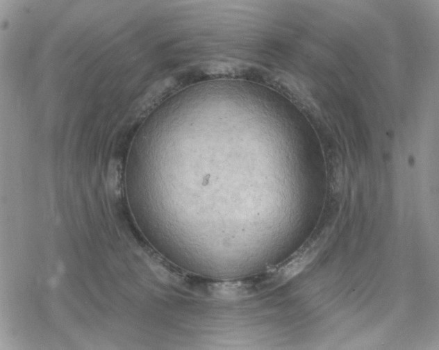 X0000078230273200611171441