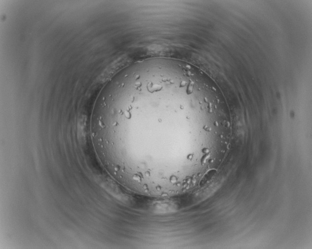 X0000078230275200611171441