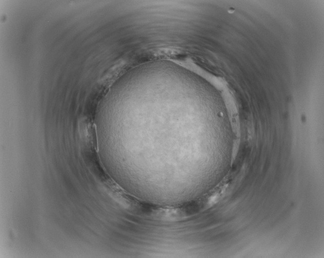 X0000078230276200611171441