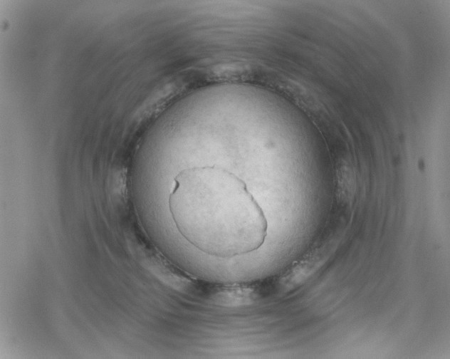 X0000078230278200611171441