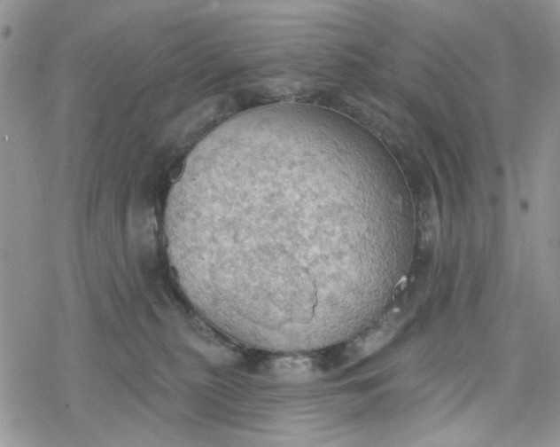 X0000078230279200611171441