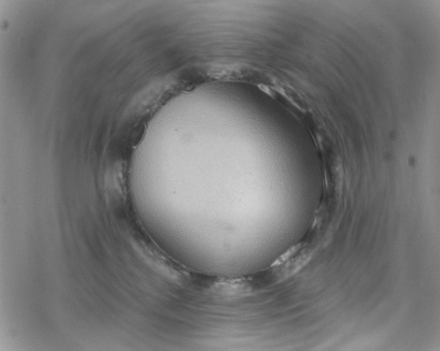 X0000078230280200611171441