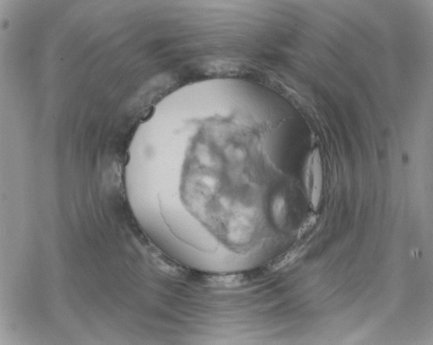 X0000078230281200611171441