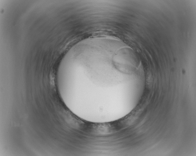 X0000078230282200611171441