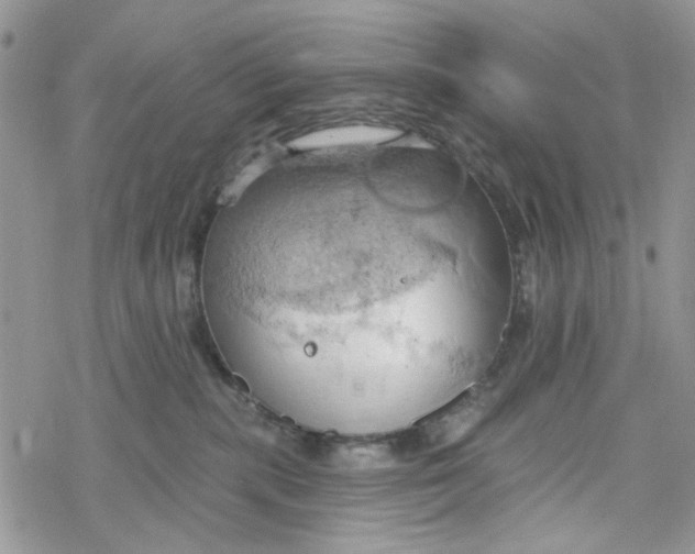 X0000078230283200611171441