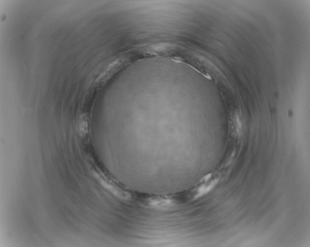 X0000078230284200611171441