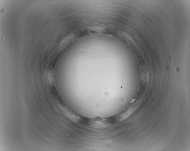 X0000078230285200611171441