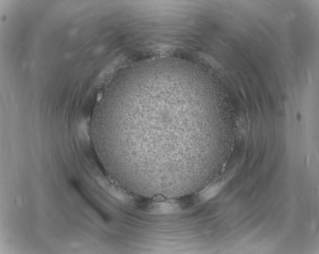 X0000078230286200611171441