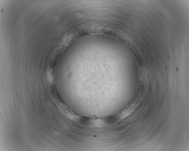 X0000078230287200611171441